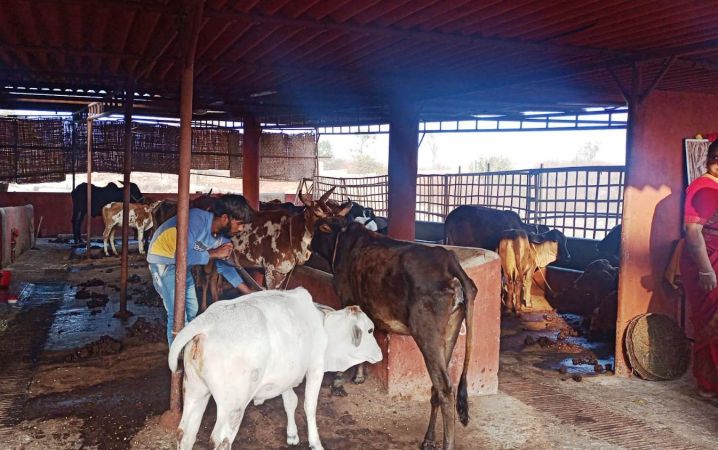 Image 2021-12-29 at 07.40.57.jpeg