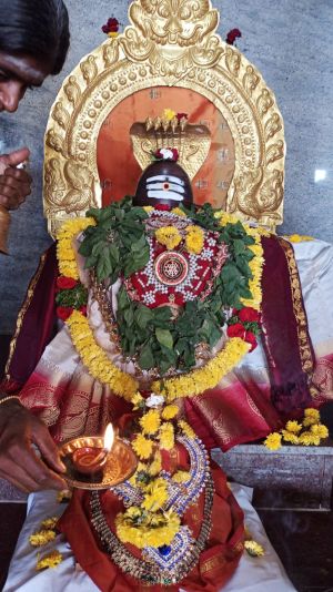 Image 2021-12-29 at 09.16.34.jpeg