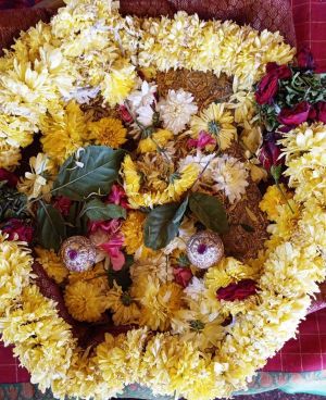 Image 2021-12-29 at 12.03.08.jpeg