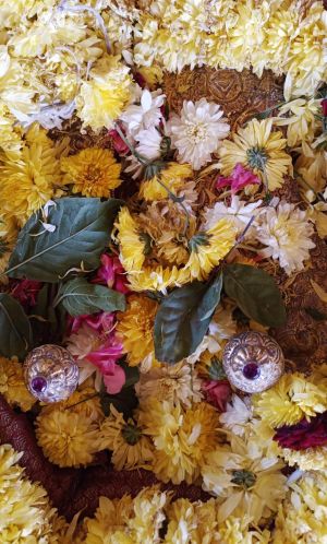 Image 2021-12-29 at 12.03.16.jpeg