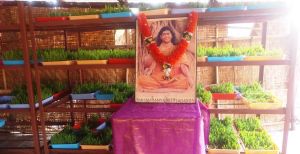 Image 2021-12-30 at 15.59.56.jpeg