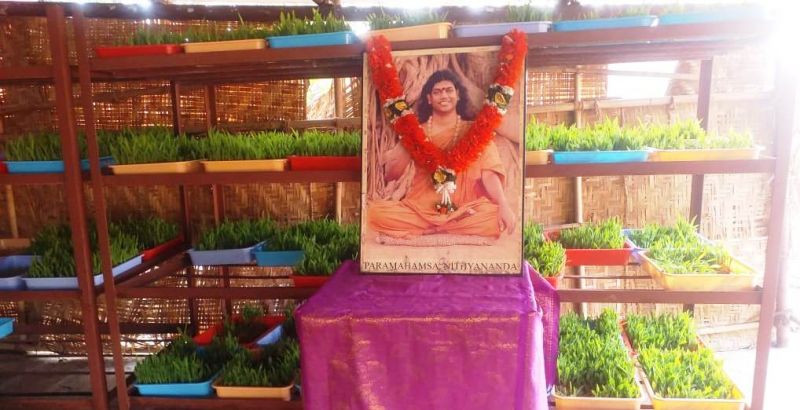 File:Image 2021-12-30 at 15.59.56.jpeg