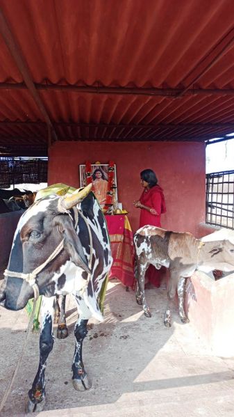 File:Image 2022-01-04 at 08.31.33.jpeg