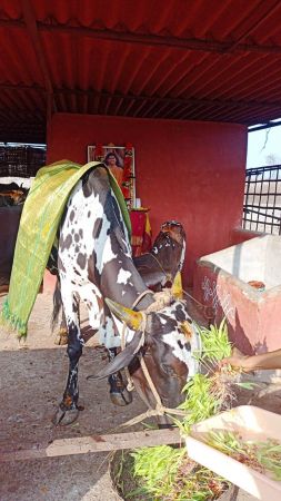 Image 2022-01-04 at 08.35.25.jpeg