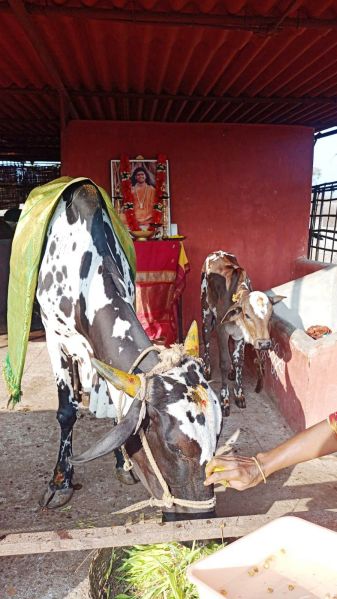 File:Image 2022-01-04 at 08.35.30.jpeg