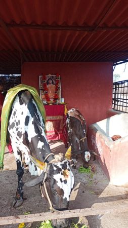 Image 2022-01-04 at 08.35.50.jpeg