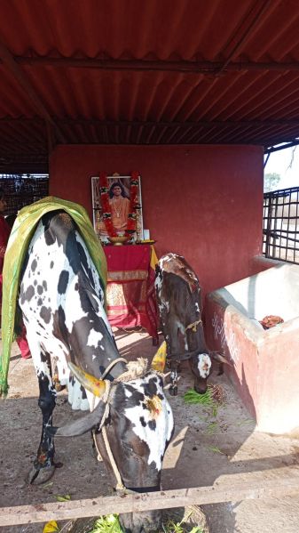 File:Image 2022-01-04 at 08.35.50.jpeg