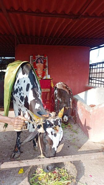 File:Image 2022-01-04 at 08.36.27.jpeg