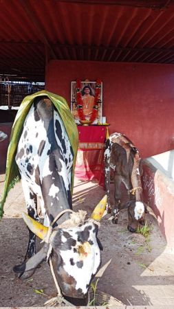 Image 2022-01-04 at 08.36.33.jpeg