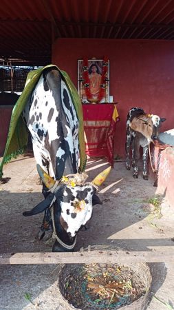 Image 2022-01-04 at 08.37.34.jpeg