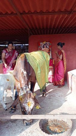 Image 2022-01-05 at 08.42.31.jpeg