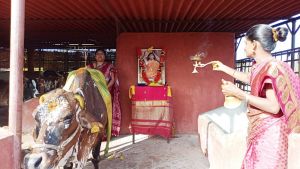 Image 2022-01-05 at 08.49.18.jpeg