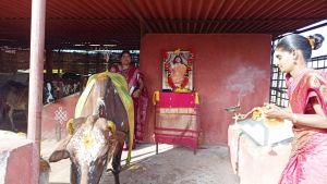 Image 2022-01-05 at 08.49.26.jpeg