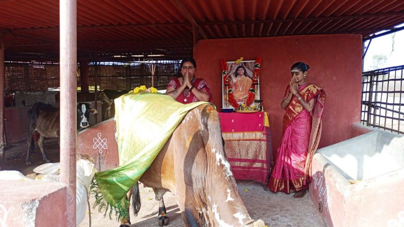 Image 2022-01-05 at 08.51.32.jpeg