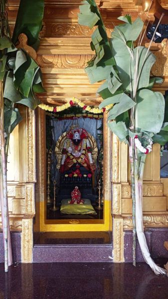 File:Image 2022-01-14 at 08.21.29.jpeg