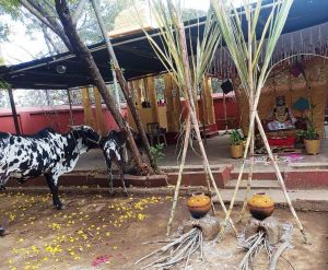 Image 2022-01-14 at 12.19.13.jpeg