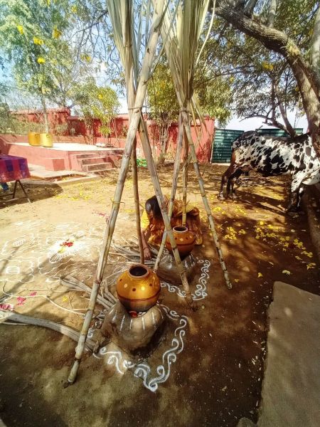 File:Image 2022-01-14 at 12.19.13 (1).jpeg