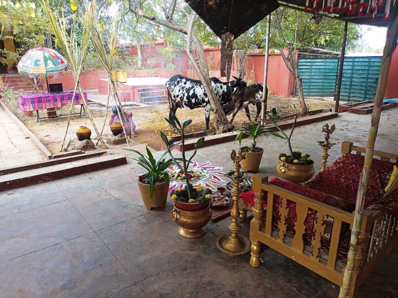 File:Image 2022-01-14 at 12.20.24 (1).jpeg