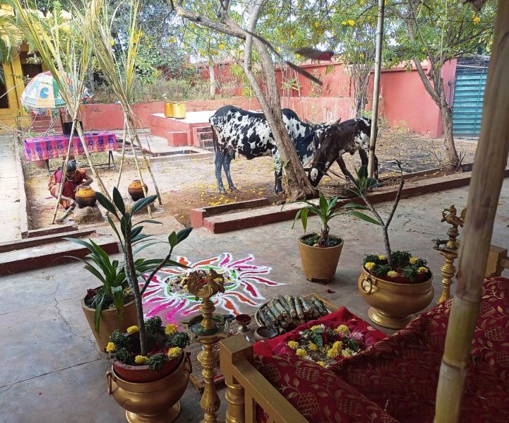 File:Image 2022-01-14 at 12.20.25.jpeg