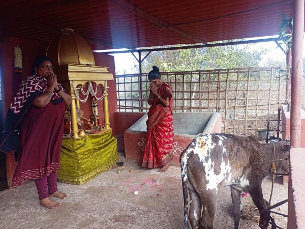 Image 2022-01-17 at 10.57.48.jpeg