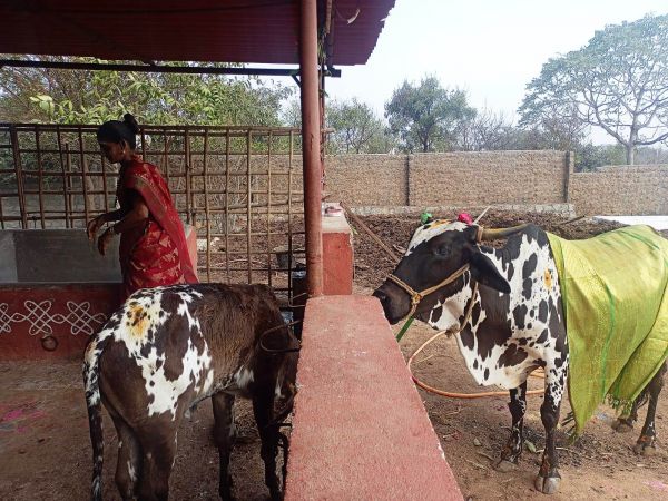 Image 2022-01-17 at 10.57.49.jpeg