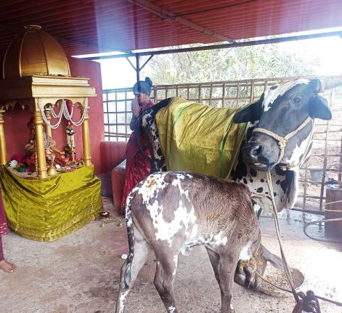 Image 2022-01-17 at 10.57.49 (1).jpeg