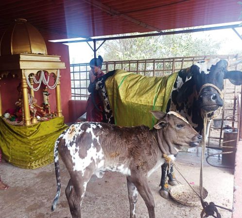 Image 2022-01-17 at 10.57.50.jpeg