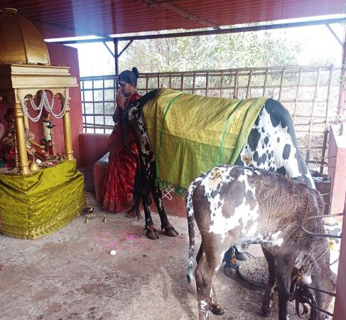 Image 2022-01-17 at 10.57.52.jpeg