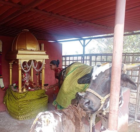 Image 2022-01-17 at 10.57.53.jpeg