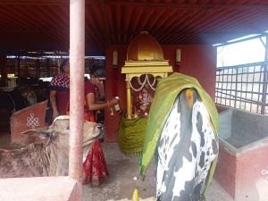 Image 2022-01-17 at 10.57.56.jpeg