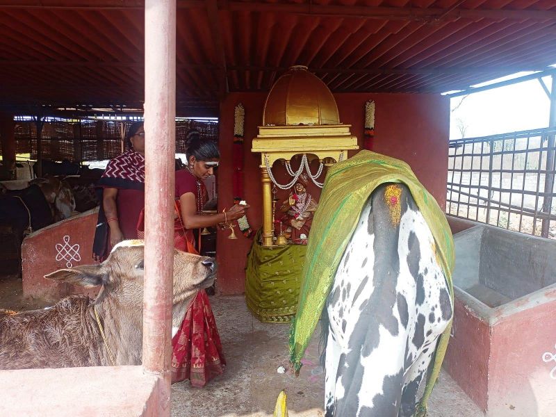 File:Image 2022-01-17 at 10.57.56.jpeg