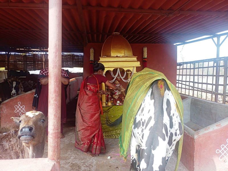 File:Image 2022-01-17 at 10.57.57.jpeg