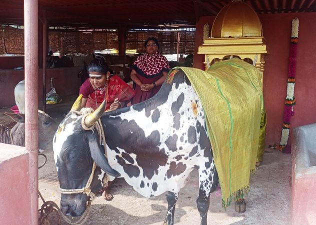 Image 2022-01-17 at 10.58.00.jpeg