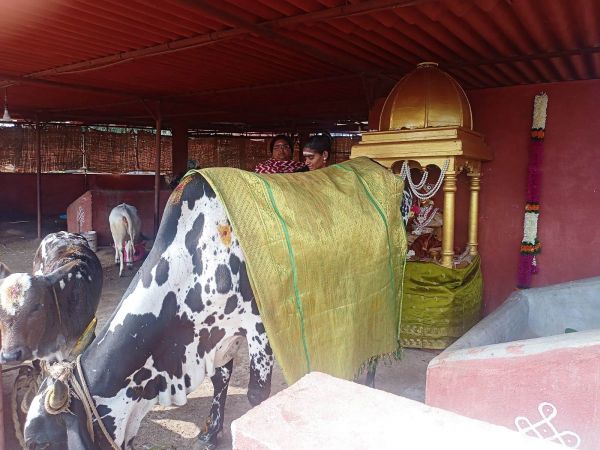 Image 2022-01-17 at 10.58.01.jpeg