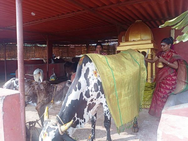 Image 2022-01-17 at 10.58.12.jpeg