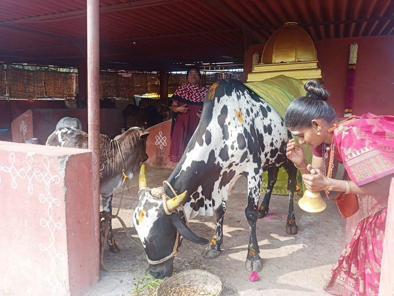 File:Image 2022-01-17 at 10.58.12 (1).jpeg