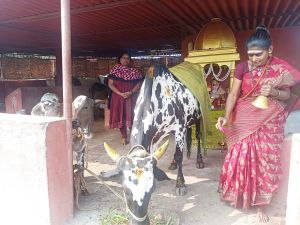 Image 2022-01-17 at 10.58.13.jpeg