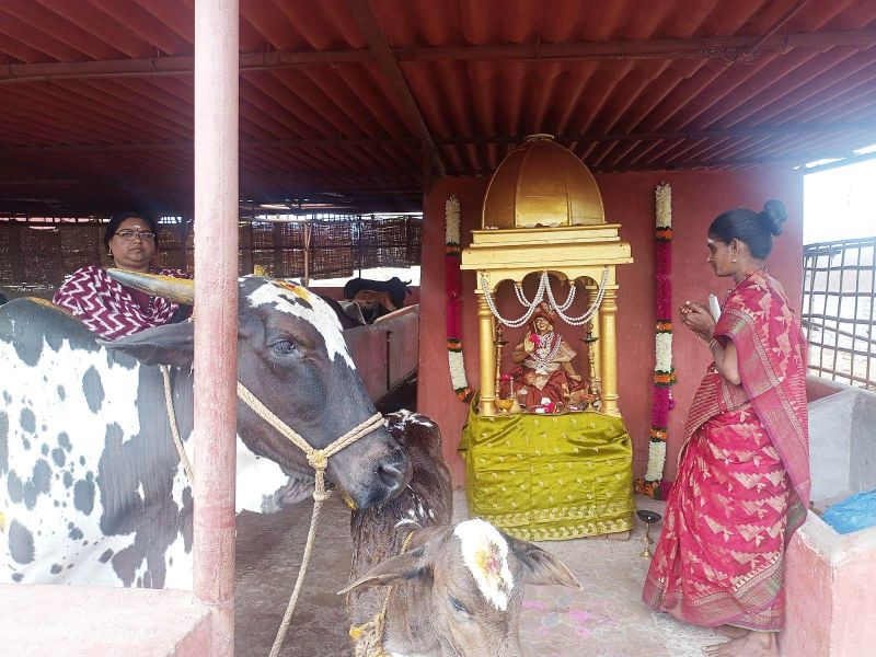 File:Image 2022-01-17 at 11.06.33.jpeg