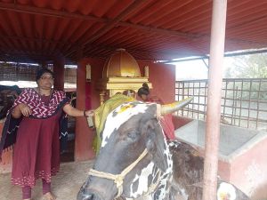 Image 2022-01-17 at 11.06.33 (1).jpeg