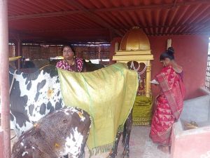 Image 2022-01-17 at 11.06.36.jpeg