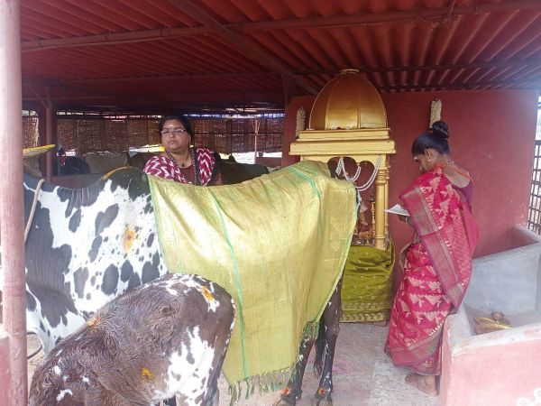 Image 2022-01-17 at 11.06.36.jpeg