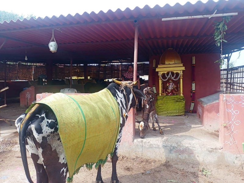 File:Image 2022-01-17 at 11.06.36 (1).jpeg