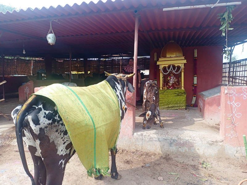 File:Image 2022-01-17 at 11.06.37.jpeg