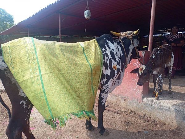 Image 2022-01-17 at 11.06.38.jpeg