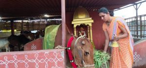 Image 2022-01-23 at 21.00.38.jpeg