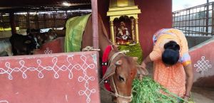 Image 2022-01-23 at 21.00.38 (1).jpeg