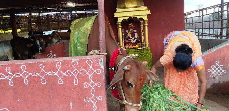 File:Image 2022-01-23 at 21.00.38 (1).jpeg