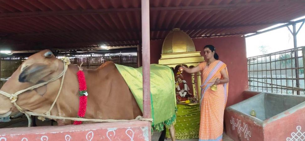 Image 2022-01-23 at 21.00.39.jpeg