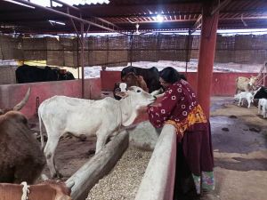 Image 2022-01-26 at 20.03.16 (1).jpeg