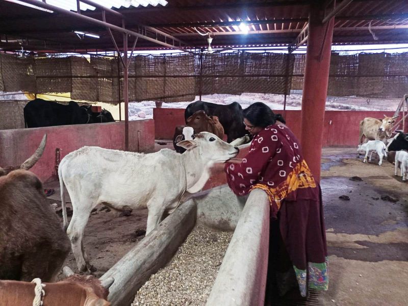 File:Image 2022-01-26 at 20.03.16 (1).jpeg